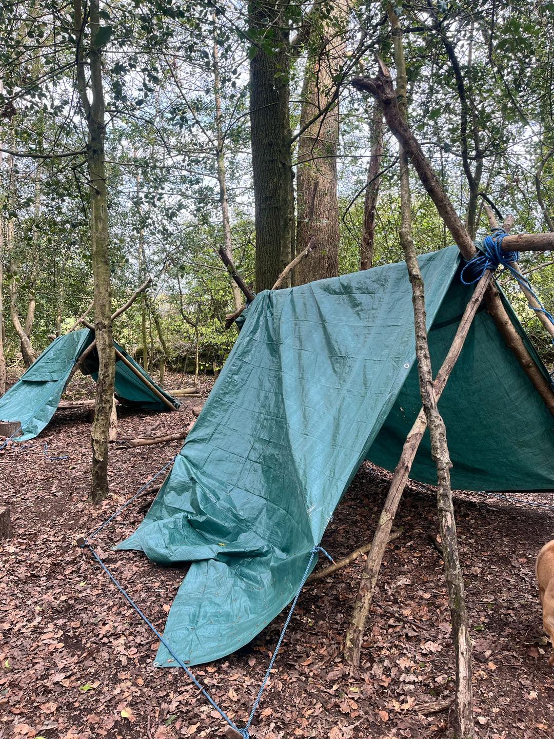 Shelter Building Outdoor Elements (3)