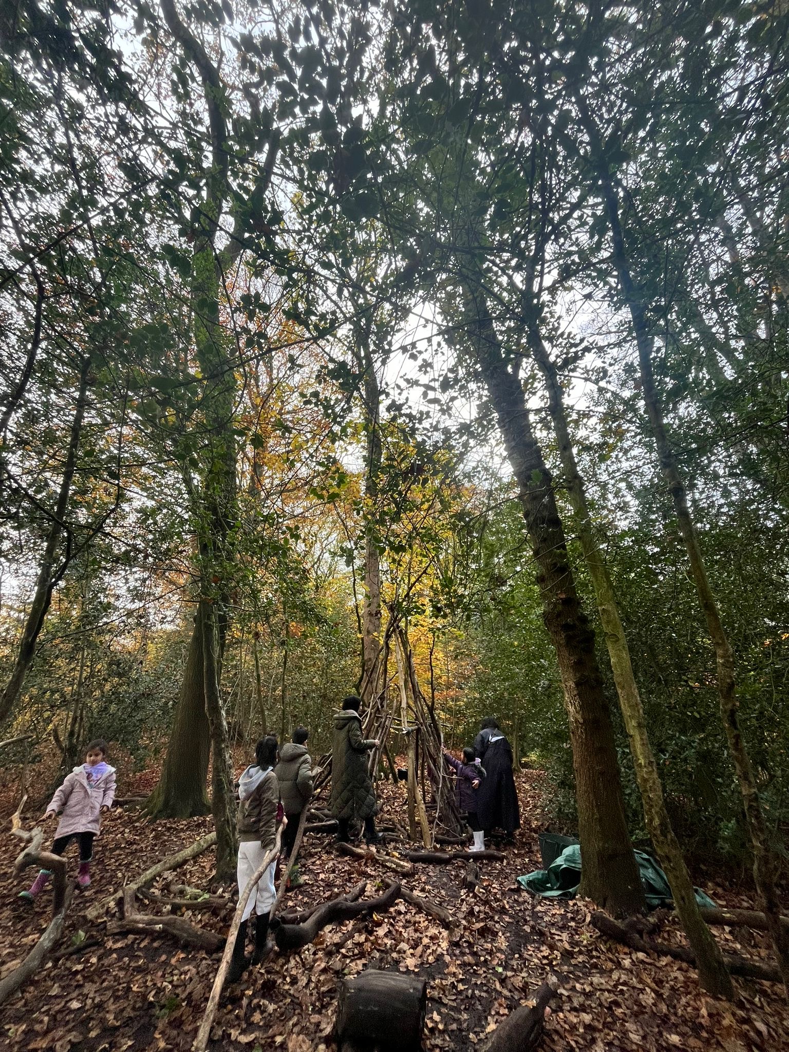 Shelter Building Outdoor Elements (5)